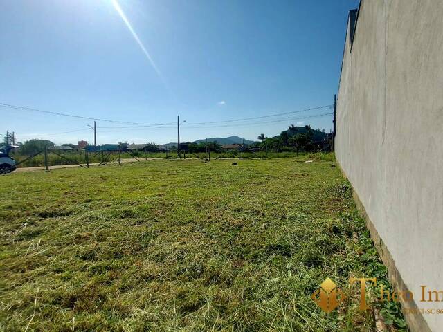 Área para Venda em Barra Velha - 5